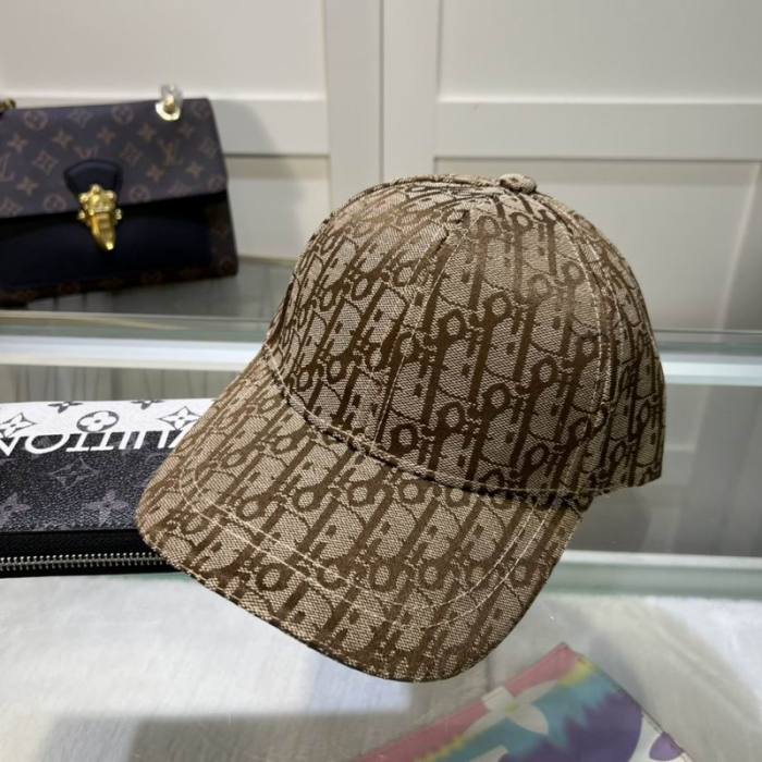 Dior Hats AAA-1151