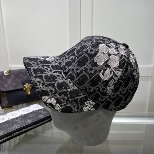 Dior Hats AAA-1184