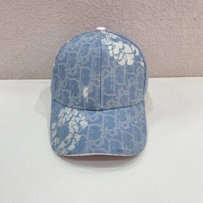Dior Hats AAA-1207