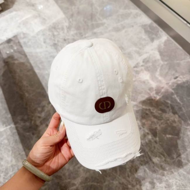 Dior Hats AAA-1231