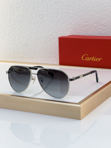 Cartier Sunglasses AAAA-5376