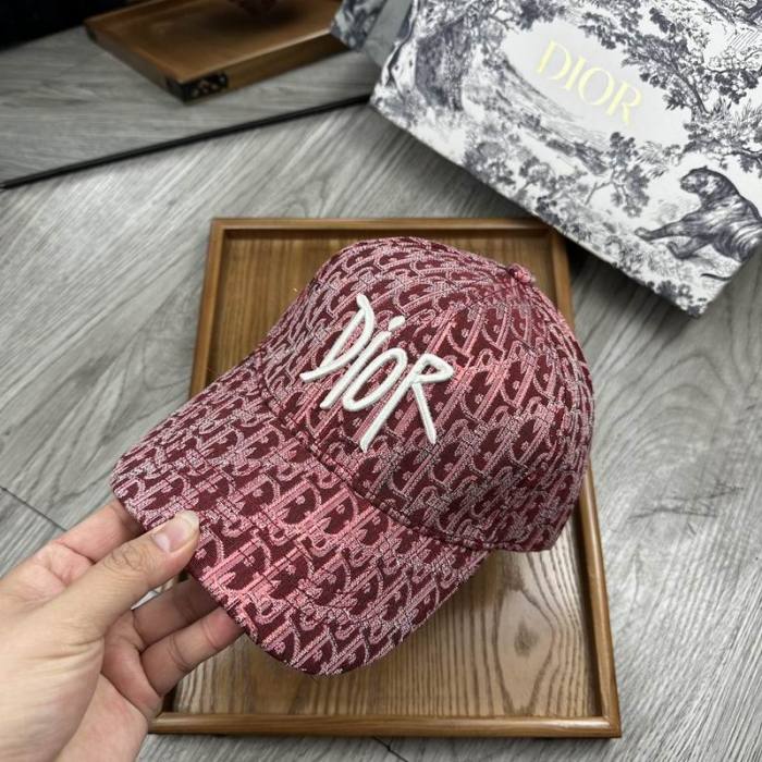 Dior Hats AAA-1147