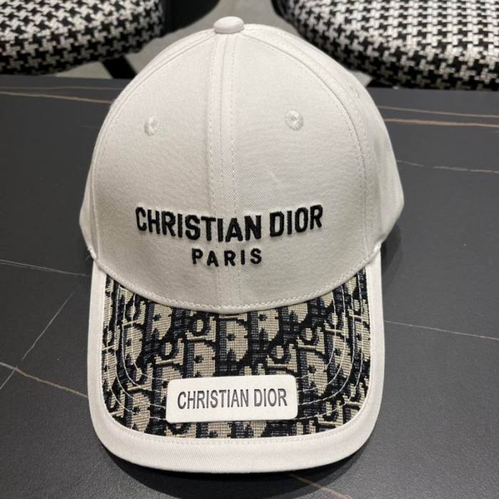 Dior Hats AAA-1223