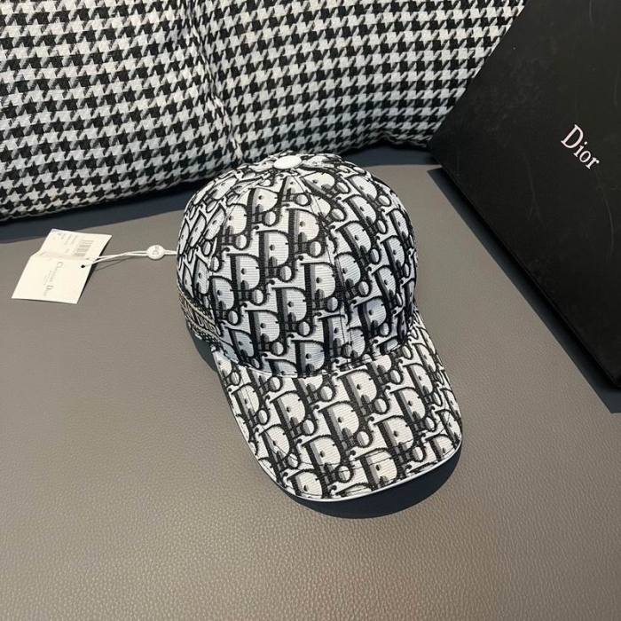 Dior Hats AAA-1167