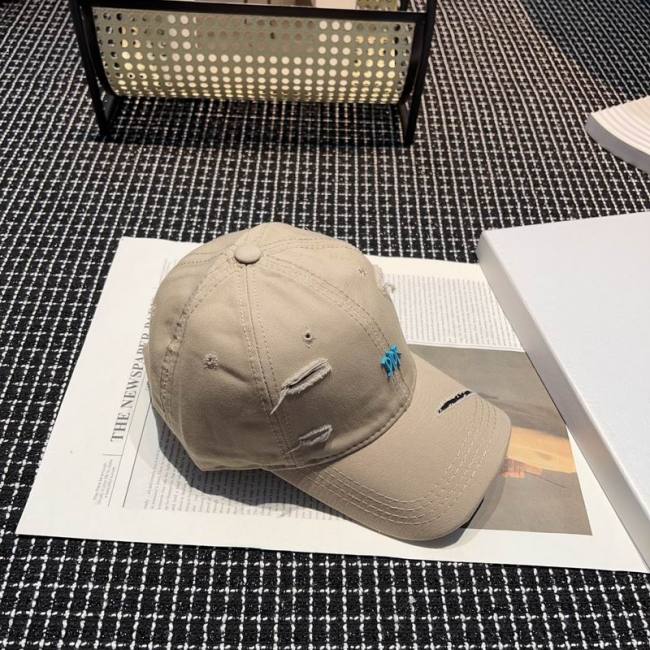 Dior Hats AAA-1226