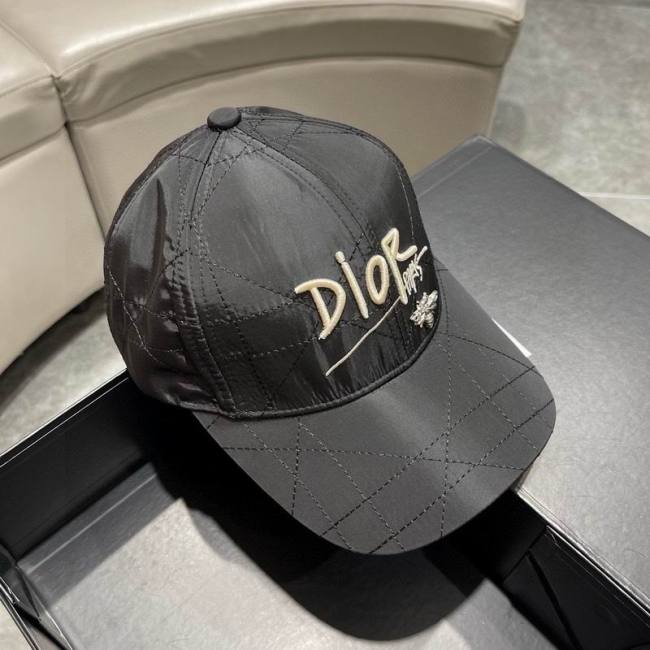 Dior Hats AAA-1269