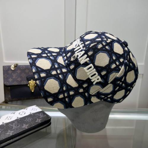 Dior Hats AAA-1193