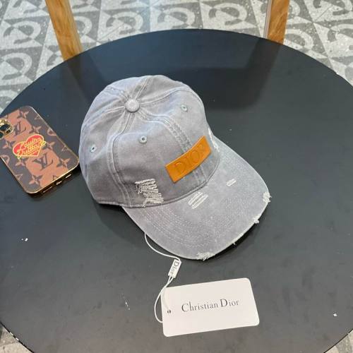 Dior Hats AAA-1262