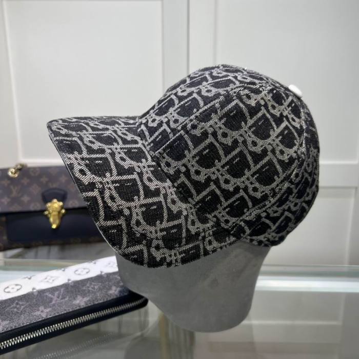Dior Hats AAA-1252