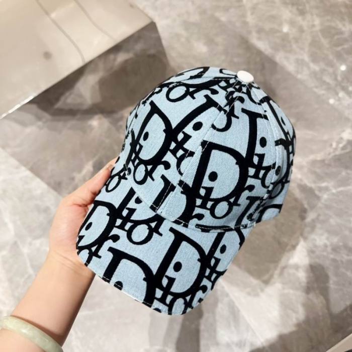 Dior Hats AAA-1181