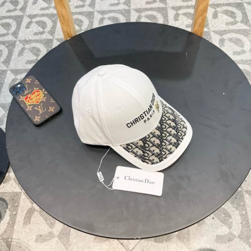 Dior Hats AAA-1237