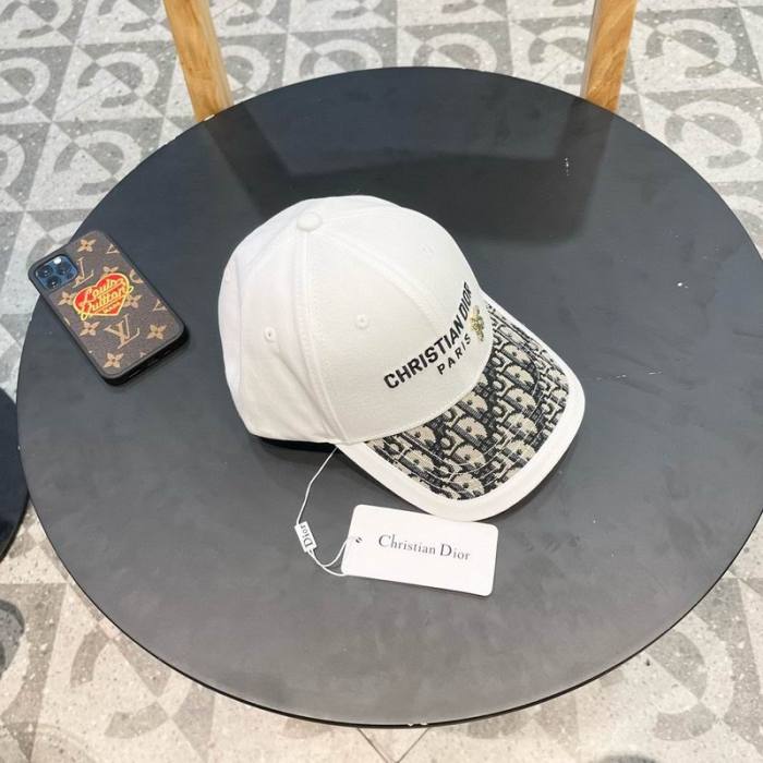 Dior Hats AAA-1237