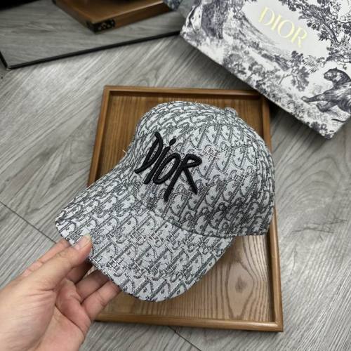 Dior Hats AAA-1144