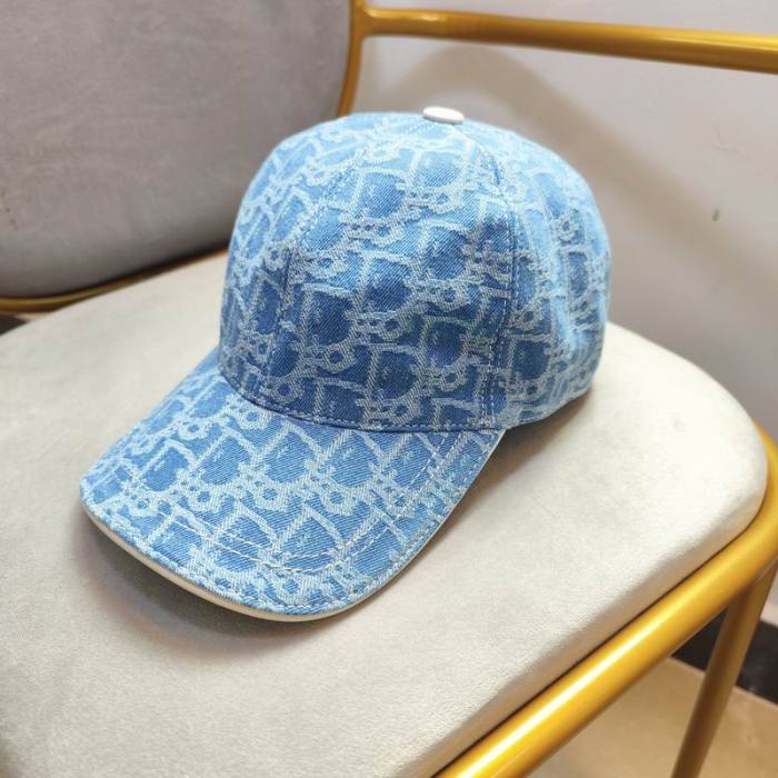 Dior Hats AAA-1250