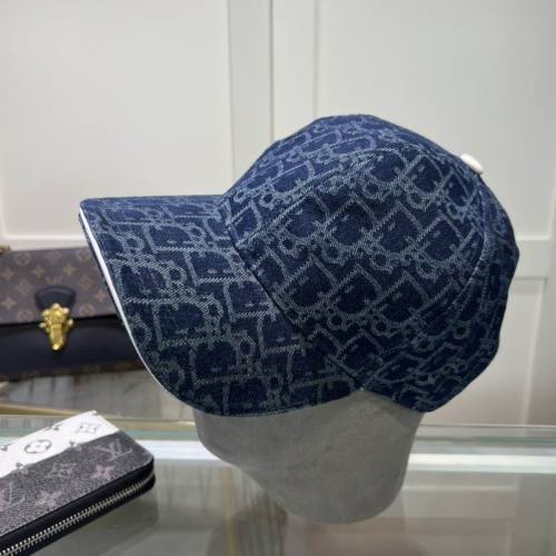 Dior Hats AAA-1251