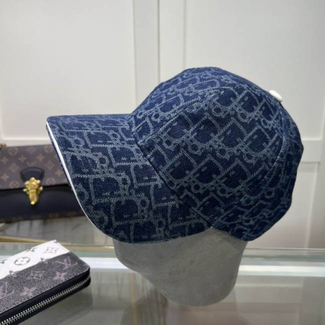 Dior Hats AAA-1251