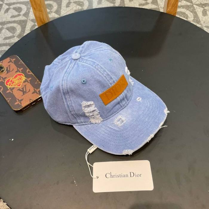Dior Hats AAA-1260