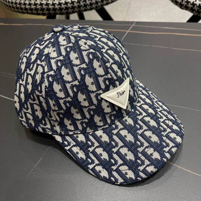 Dior Hats AAA-1221