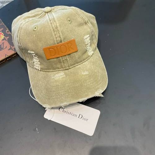 Dior Hats AAA-1263