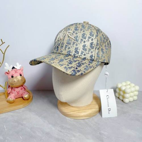 Dior Hats AAA-1241