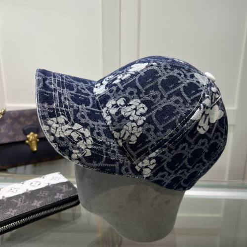 Dior Hats AAA-1186