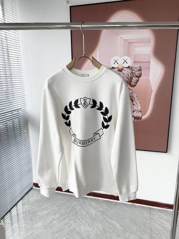 Burberry men Hoodies-1226(XS-L)