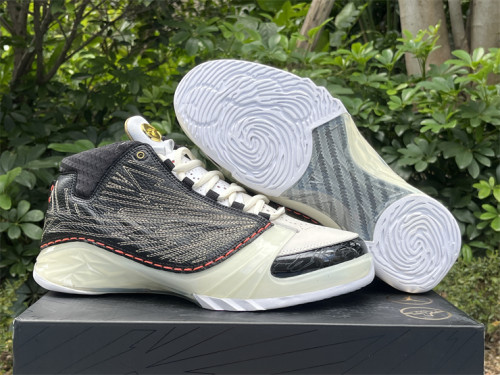 Authentic Titan x Air Jordan 23 Retro SP 10th Anniversary