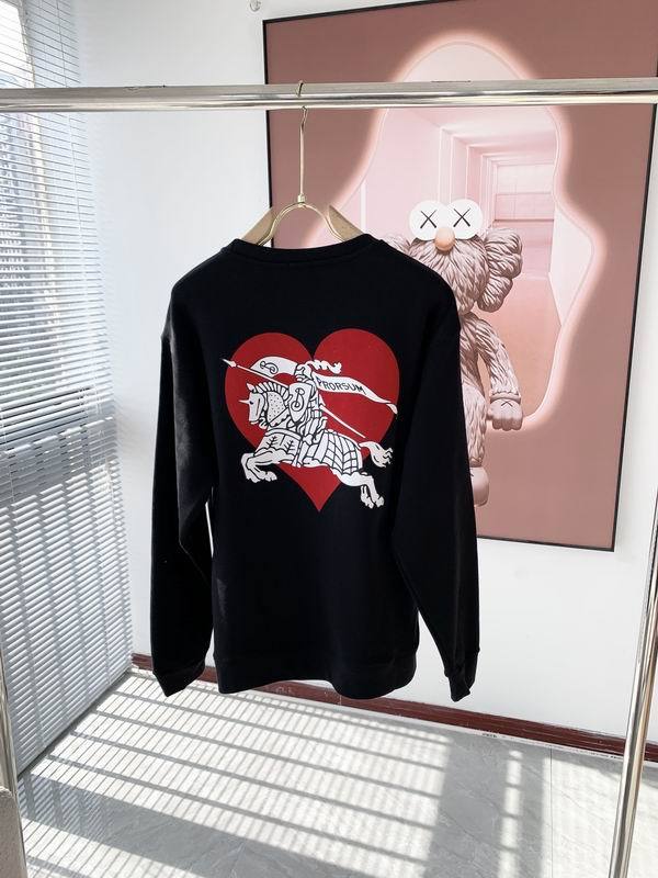 Burberry men Hoodies-1228(XS-L)