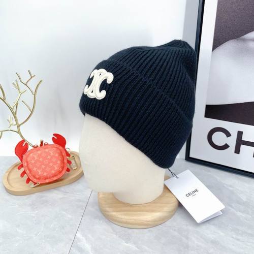 Celine Hats AAA-1317