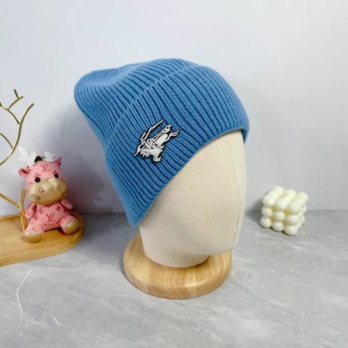 Burrerry Hats AAA-917