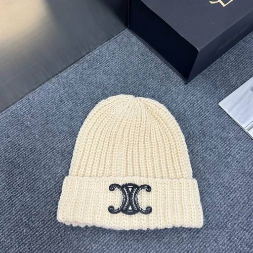 Celine Hats AAA-1360