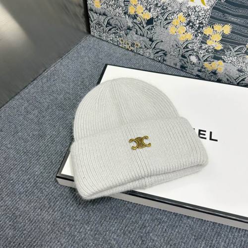 Celine Hats AAA-966