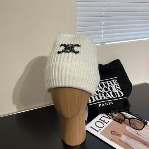 Celine Hats AAA-1283