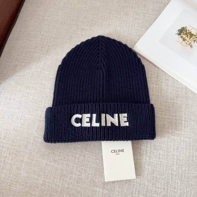 Celine Hats AAA-1299