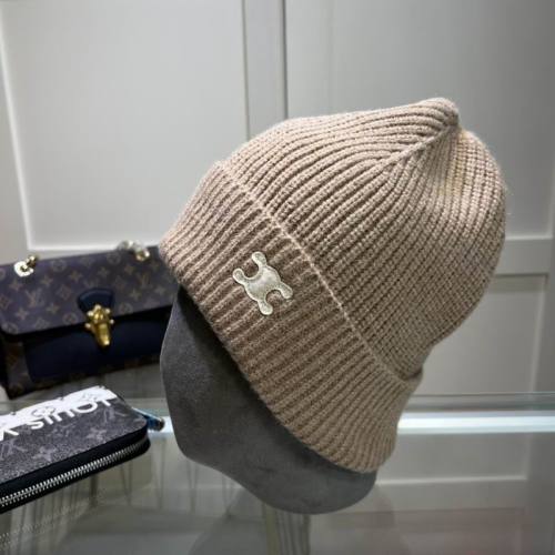 Celine Hats AAA-1288