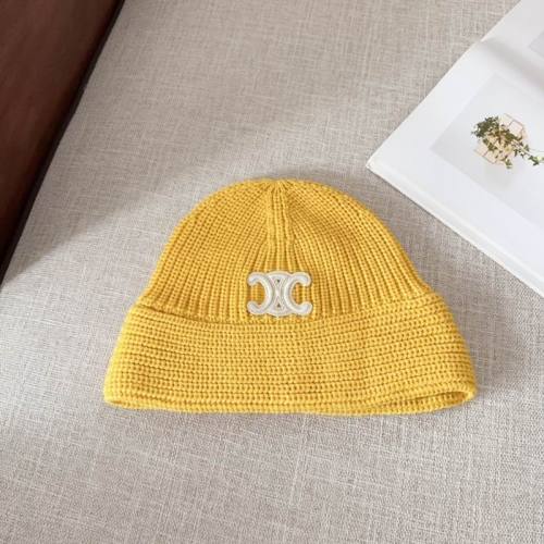 Celine Hats AAA-1304