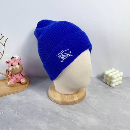 Burrerry Hats AAA-891