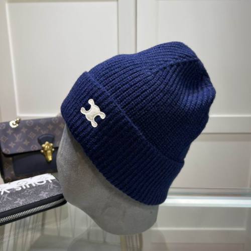 Celine Hats AAA-1289