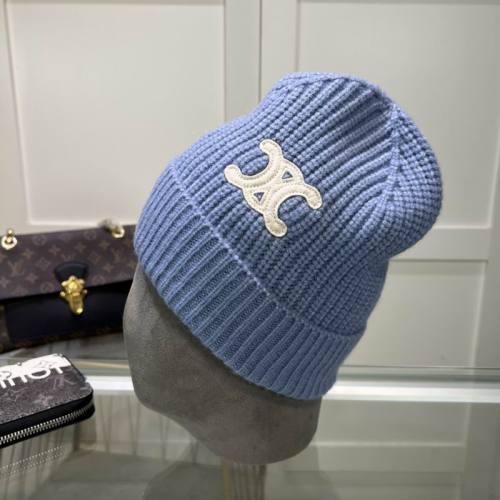 Celine Hats AAA-1006