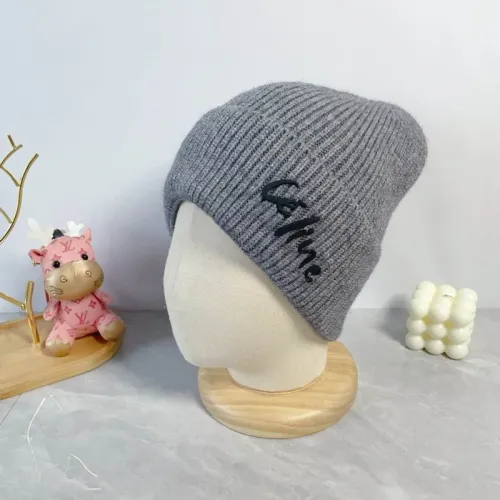 Celine Hats AAA-1252