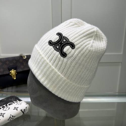 Celine Hats AAA-1011