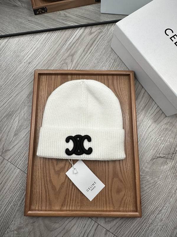 Celine Hats AAA-1100