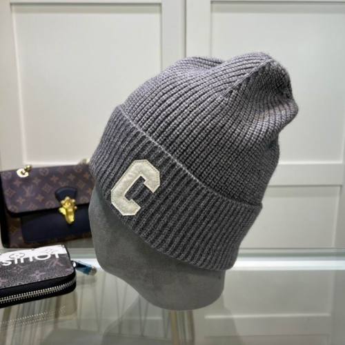 Celine Hats AAA-1356