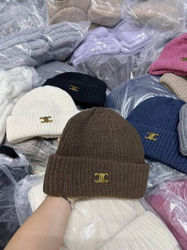 Celine Hats AAA-1165