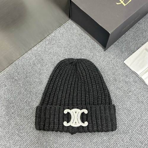 Celine Hats AAA-1361