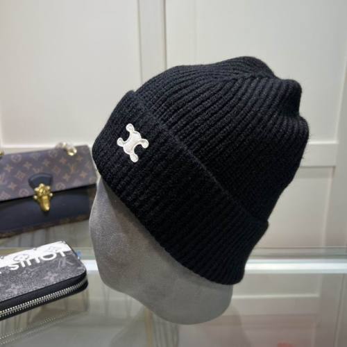 Celine Hats AAA-1287