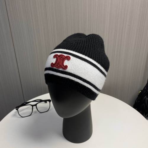 Celine Hats AAA-1359