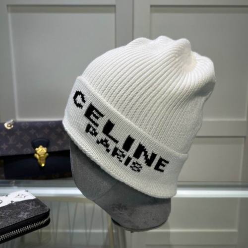Celine Hats AAA-1129