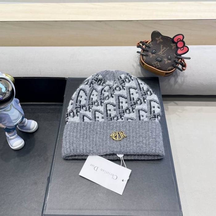 Dior Hats AAA-1349