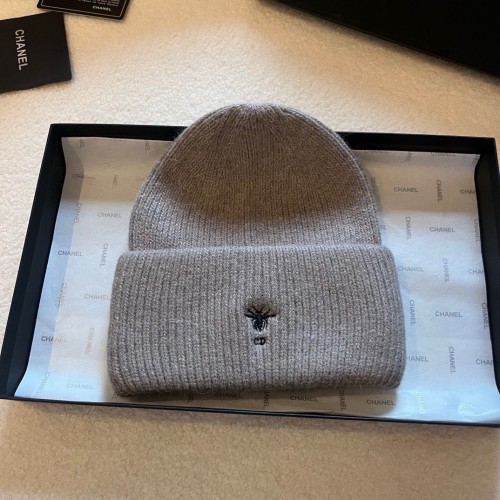 Dior Hats AAA-1361